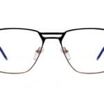 1. Prescription Premium Plugin