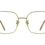 4. Simple Prescription Plugin